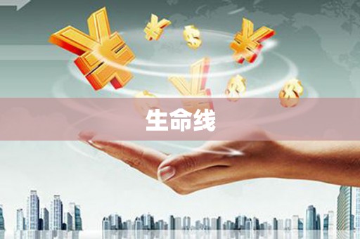 禄丰生命线