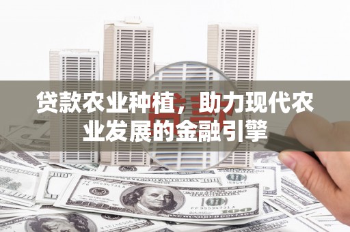 禄丰贷款农业种植，助力现代农业发展的金融引擎