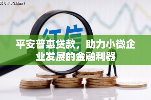 禄丰平安普惠贷款，助力小微企业发展的金融利器