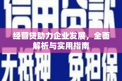 禄丰经营贷助力企业发展，全面解析与实用指南