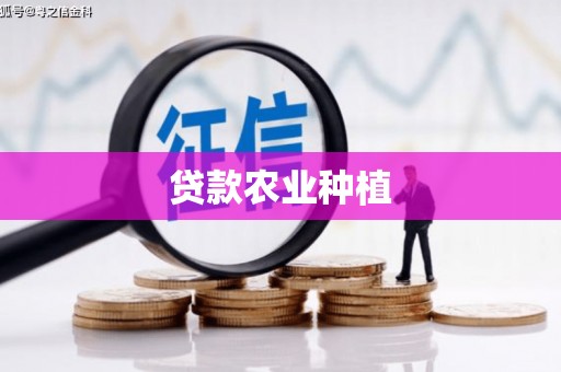 禄丰贷款农业种植