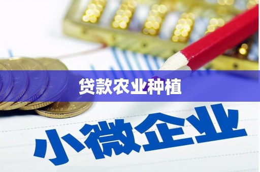 禄丰贷款农业种植