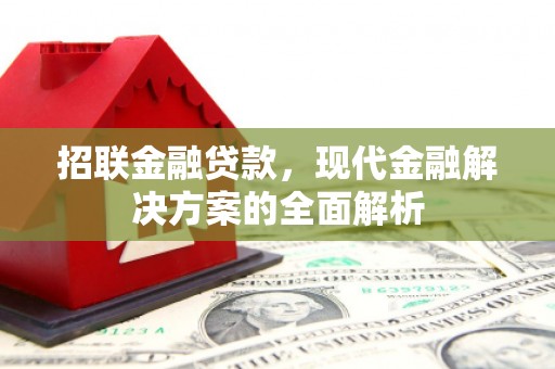禄丰招联金融贷款，现代金融解决方案的全面解析