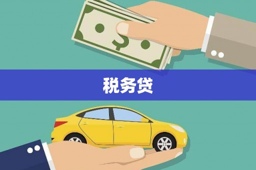 禄丰税务贷