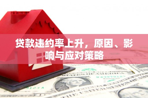 禄丰贷款违约率上升，原因、影响与应对策略