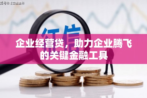 禄丰企业经营贷，助力企业腾飞的关键金融工具
