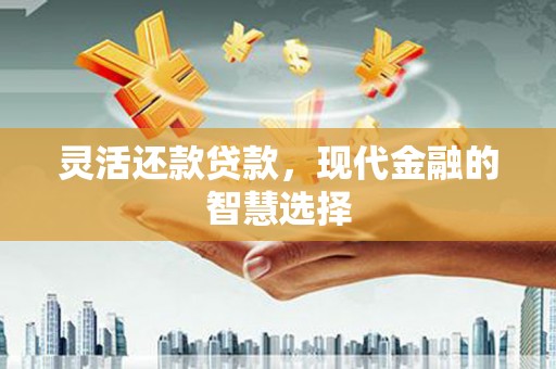 禄丰灵活还款贷款，现代金融的智慧选择