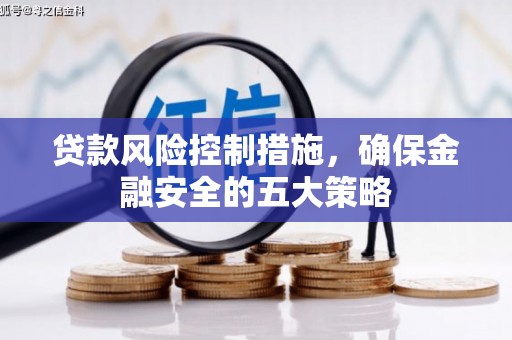 禄丰贷款风险控制措施，确保金融安全的五大策略