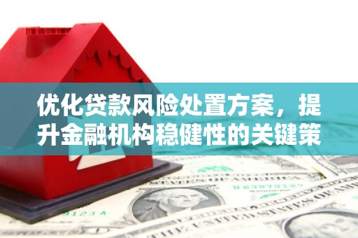 禄丰优化贷款风险处置方案，提升金融机构稳健性的关键策略