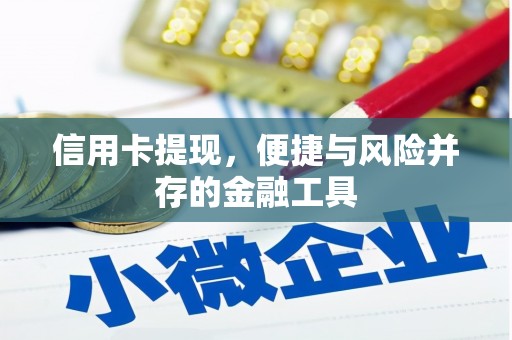 禄丰信用卡提现，便捷与风险并存的金融工具