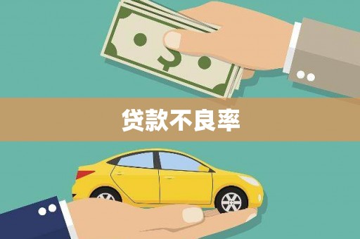 禄丰贷款不良率