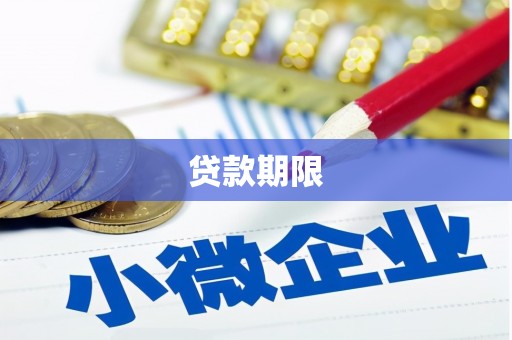 禄丰贷款期限