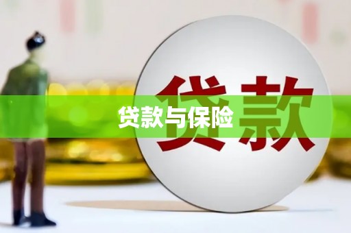 禄丰贷款与保险