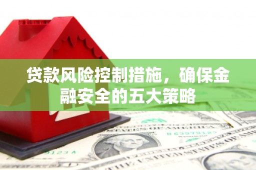 禄丰贷款风险控制措施，确保金融安全的五大策略