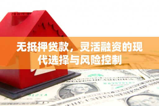 禄丰无抵押贷款，灵活融资的现代选择与风险控制
