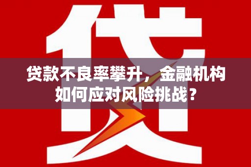 禄丰贷款不良率攀升，金融机构如何应对风险挑战？