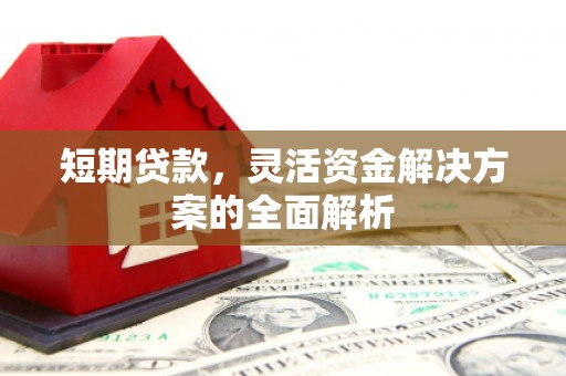 禄丰短期贷款，灵活资金解决方案的全面解析