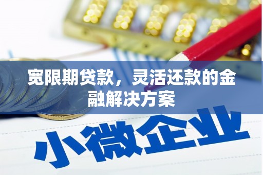 禄丰宽限期贷款，灵活还款的金融解决方案