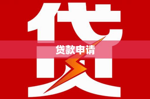 禄丰贷款申请