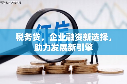 禄丰税务贷，企业融资新选择，助力发展新引擎