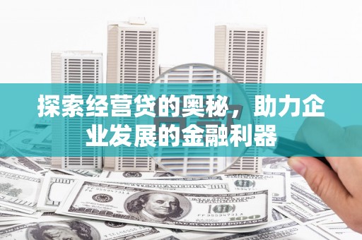 禄丰探索经营贷的奥秘，助力企业发展的金融利器