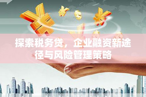 禄丰探索税务贷，企业融资新途径与风险管理策略