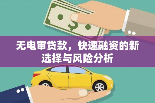 禄丰无电审贷款，快速融资的新选择与风险分析