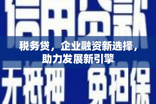 禄丰税务贷，企业融资新选择，助力发展新引擎