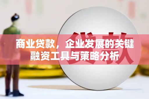禄丰商业贷款，企业发展的关键融资工具与策略分析