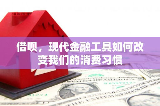 禄丰借呗，现代金融工具如何改变我们的消费习惯