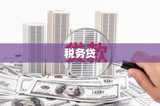 禄丰税务贷
