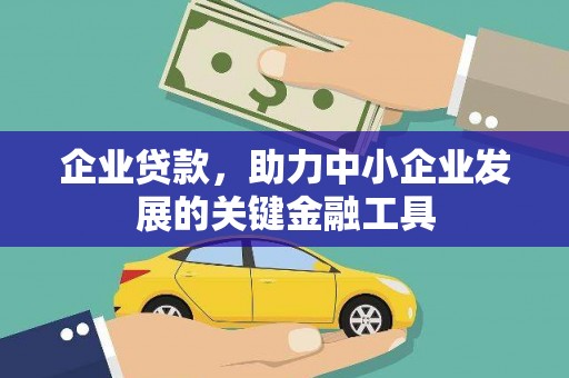 禄丰企业贷款，助力中小企业发展的关键金融工具