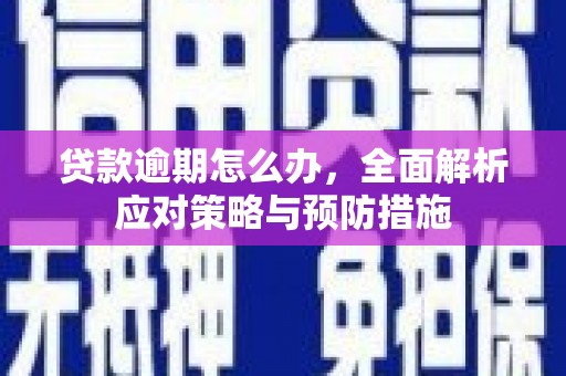 禄丰贷款逾期怎么办，全面解析应对策略与预防措施