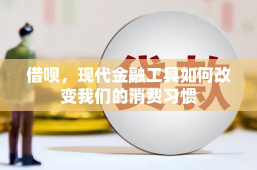 禄丰借呗，现代金融工具如何改变我们的消费习惯