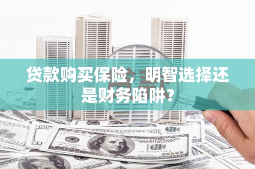 禄丰贷款购买保险，明智选择还是财务陷阱？