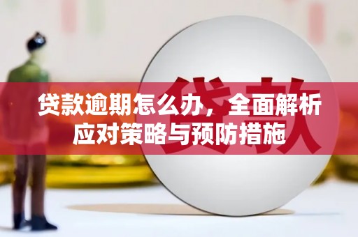 禄丰贷款逾期怎么办，全面解析应对策略与预防措施