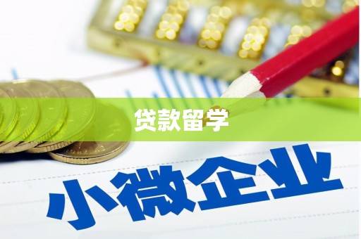 禄丰贷款留学