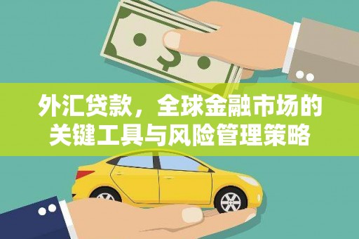禄丰外汇贷款，全球金融市场的关键工具与风险管理策略