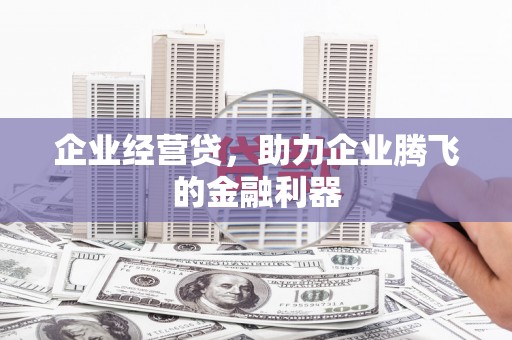 禄丰企业经营贷，助力企业腾飞的金融利器