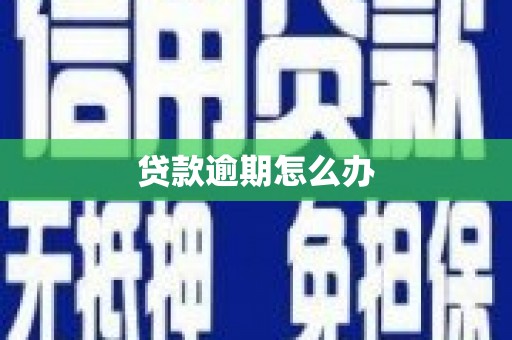 禄丰贷款逾期怎么办