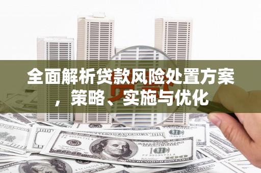 禄丰全面解析贷款风险处置方案，策略、实施与优化