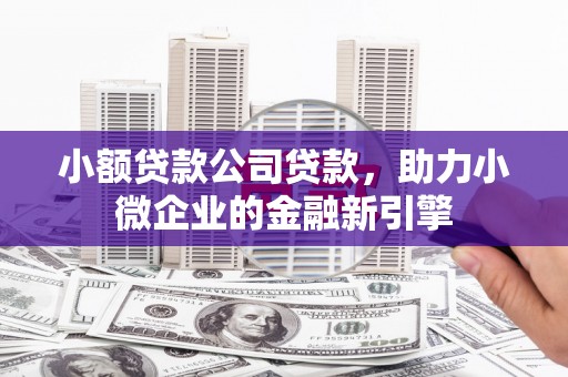 禄丰小额贷款公司贷款，助力小微企业的金融新引擎