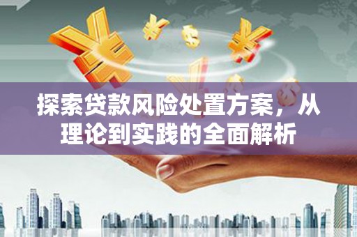 禄丰探索贷款风险处置方案，从理论到实践的全面解析