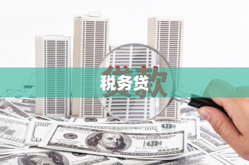 禄丰税务贷