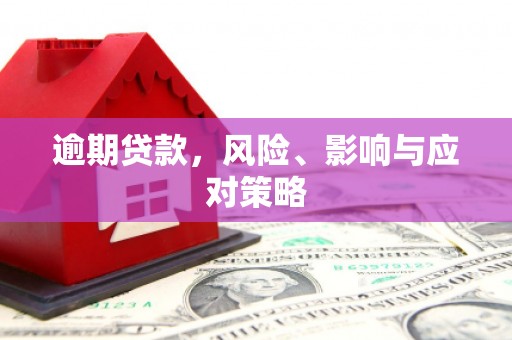 禄丰逾期贷款，风险、影响与应对策略