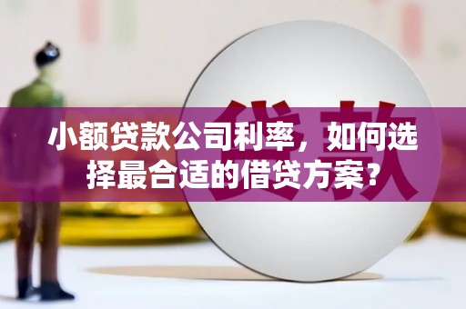 禄丰小额贷款公司利率，如何选择最合适的借贷方案？