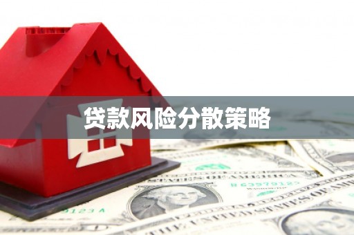 禄丰贷款风险分散策略