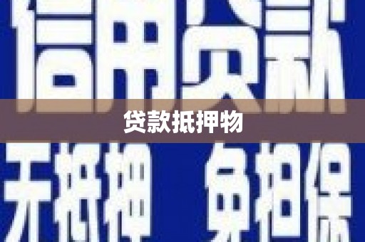 禄丰贷款抵押物