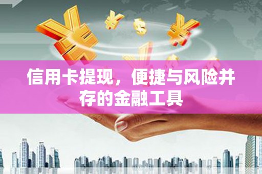 禄丰信用卡提现，便捷与风险并存的金融工具