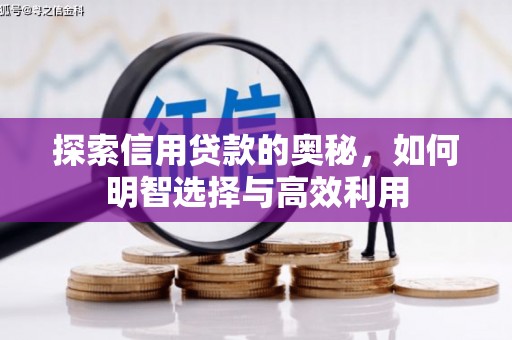 禄丰探索信用贷款的奥秘，如何明智选择与高效利用